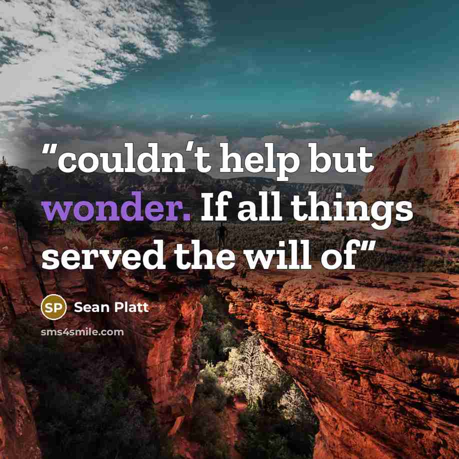 “couldn’t help but wonder. If all things served the will of” quote by Sean Platt