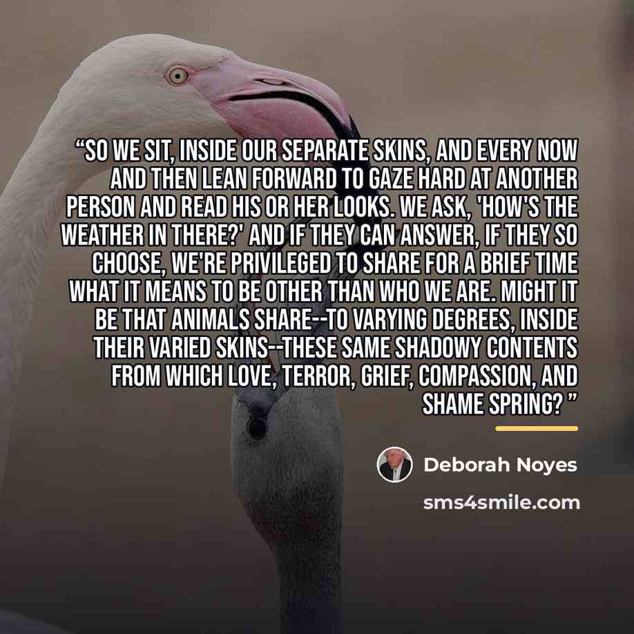 “So we sit, inside our separate skins, and every now and then lean forward to gaze hard at another person and read his or her looks. We ask, 'how's the weather in there?' And if they can answer, if they so choose, we're privileged to share for a brief time what it means to be other than who we are…” quote by Deborah Noyes