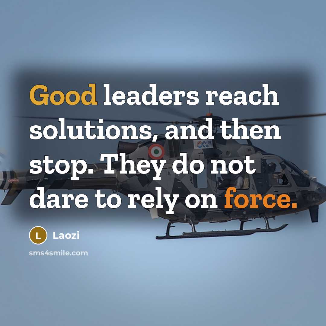 “Good leaders reach solutions, and then stop. They do not dare to rely on force.” quote by Laozi