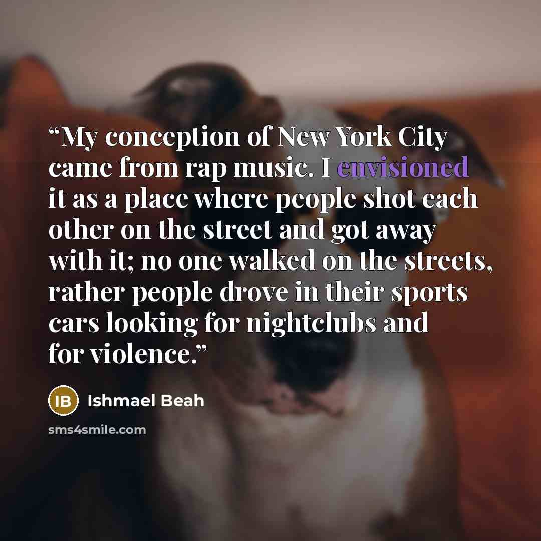 “My conception of New York City came from rap music. I envisioned it as a place where people shot each other on the street and got away with it; no one walked on the streets, rather people drove in their sports cars looking for nightclubs and for violence.” quote by Ishmael Beah