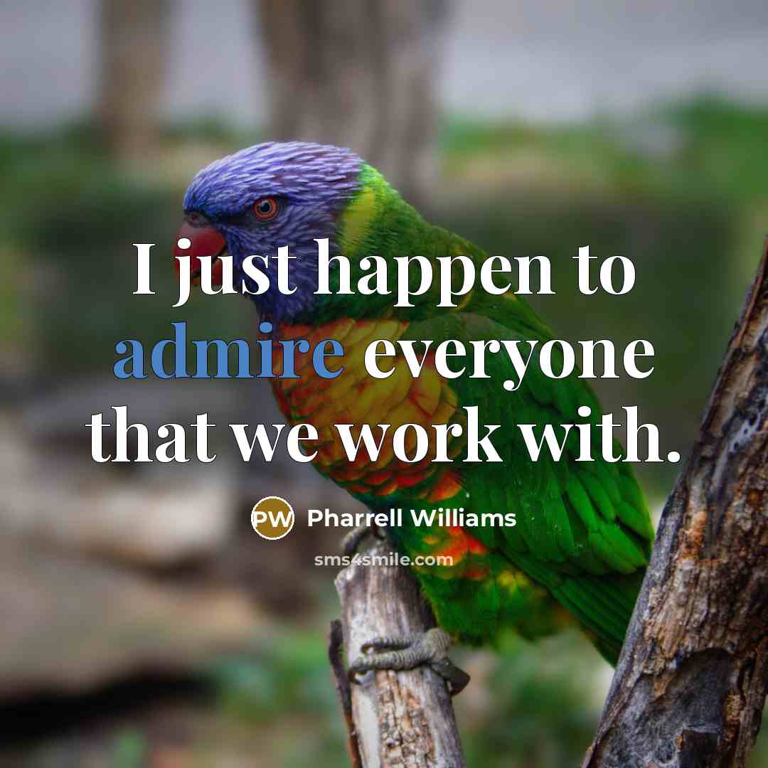 “I just happen to admire everyone that we work with.” quote by Pharrell Williams