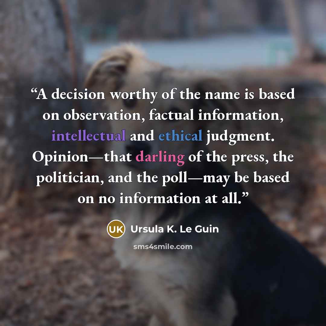 “A decision worthy of the name is based on observation, factual information, intellectual and ethical judgment. Opinion—that darling of the press, the politician, and the poll—may be based on no information at all.” quote by Ursula K. Le Guin