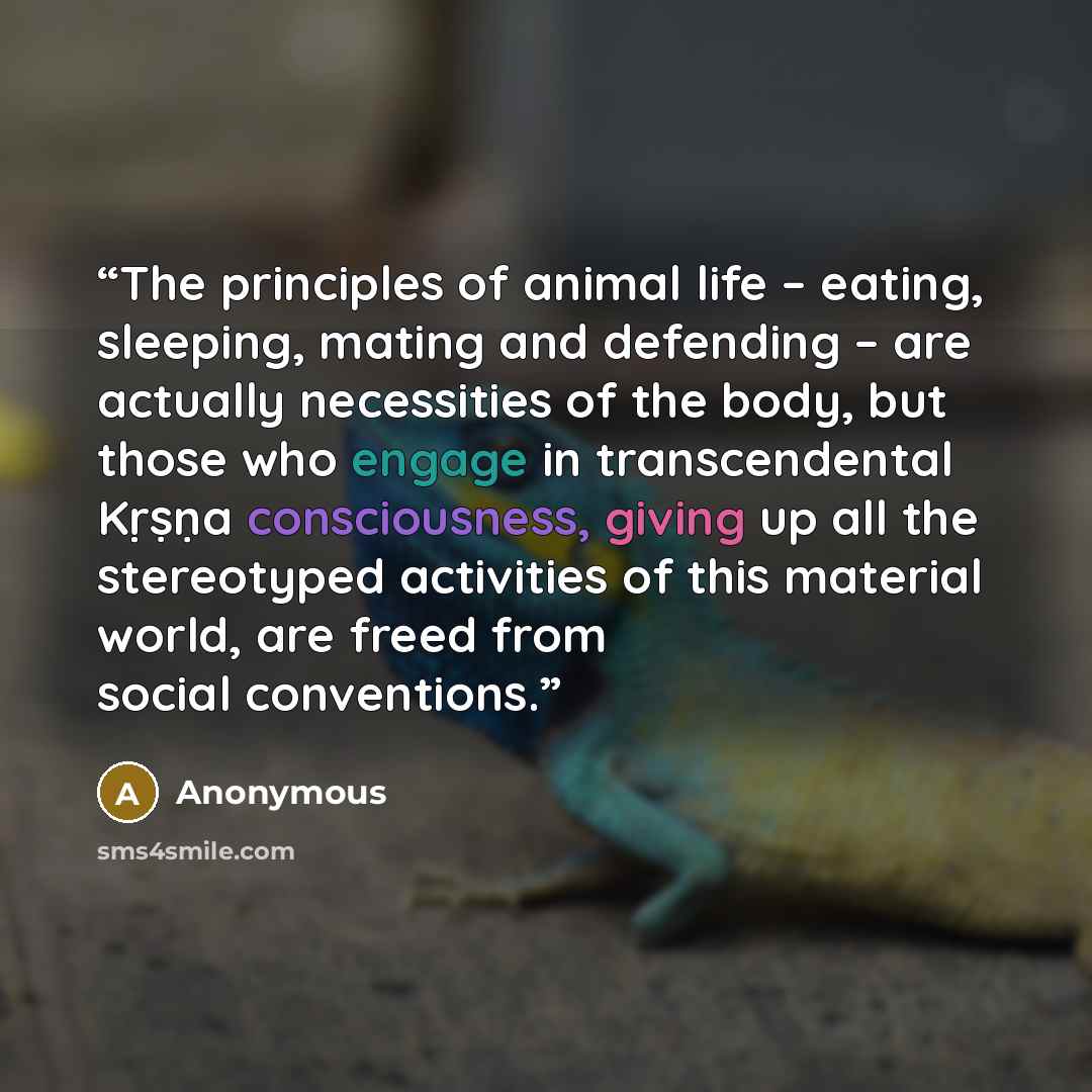 “The principles of animal life – eating, sleeping, mating and defending – are actually necessities of the body, but those who engage in transcendental Kṛṣṇa consciousness, giving up all the stereotyped activities of this material world, are freed from social conventions.” quote by Anonymous