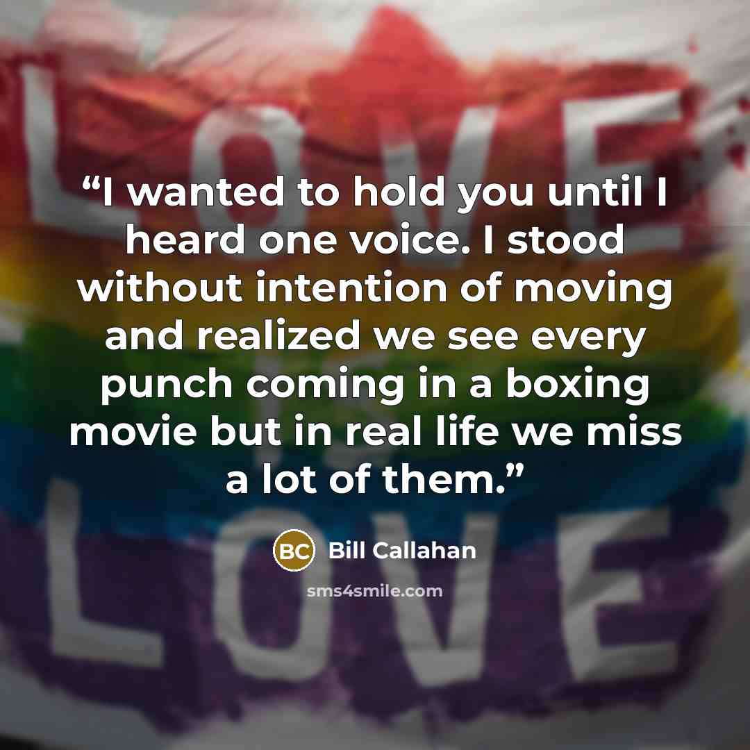 “I wanted to hold you until I heard one voice. I stood without intention of moving and realized we see every punch coming in a boxing movie but in real life we miss a lot of them.” quote by Bill Callahan