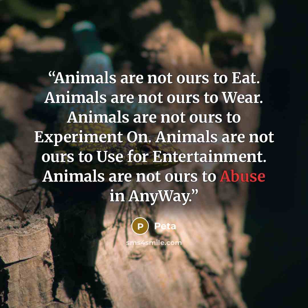“Animals are not ours to Eat. Animals are not ours to Wear. Animals are not ours to Experiment On. Animals are not ours to Use for Entertainment. Animals are not ours to Abuse in AnyWay.” quote by Peta