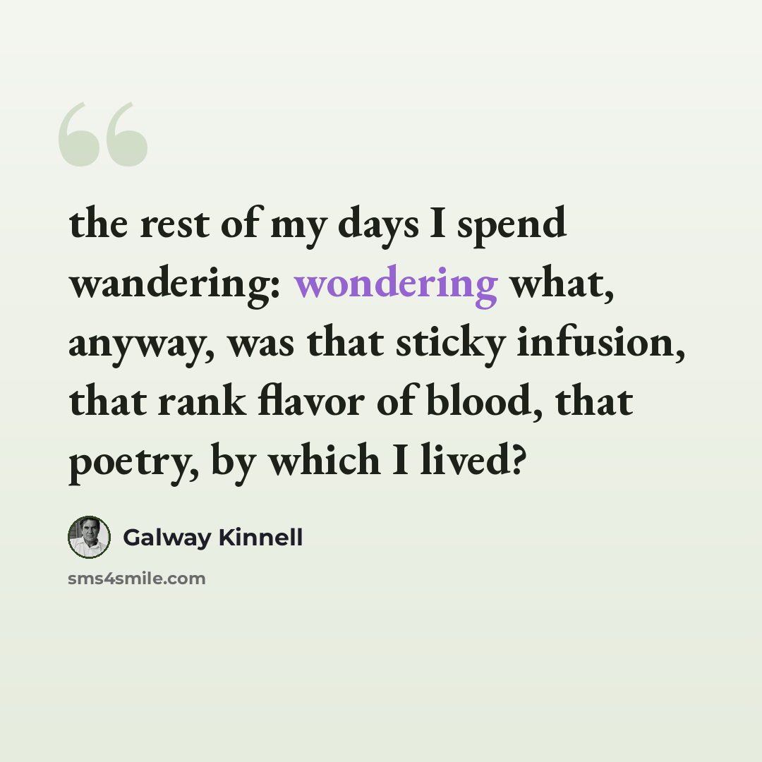“the rest of my days I spend wandering: wondering what, anyway, was that sticky infusion, that rank flavor of blood, that poetry, by which I lived?” quote by Galway Kinnell