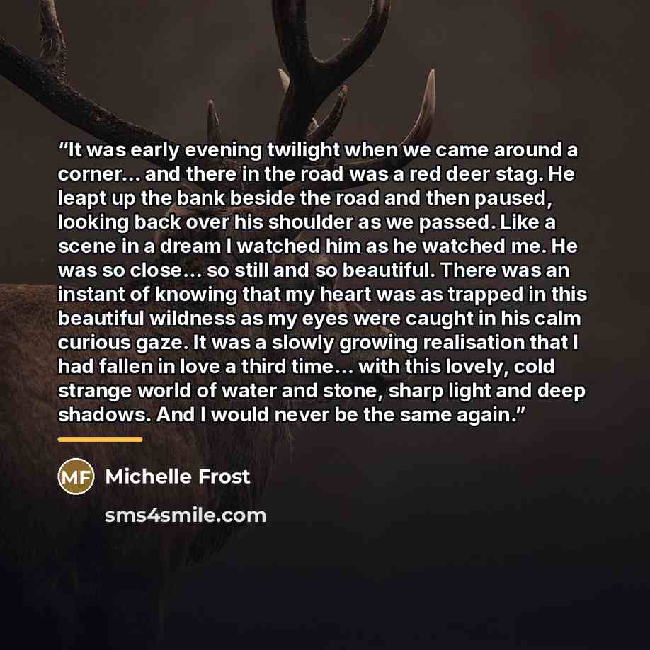 “It was early evening twilight when we came around a corner… and there in the road was a red deer stag. He leapt up the bank beside the road and then paused, looking back over his shoulder as we passed. Like a scene in a dream I watched him as he watched me. He was so close… so still and so…” quote by Michelle Frost