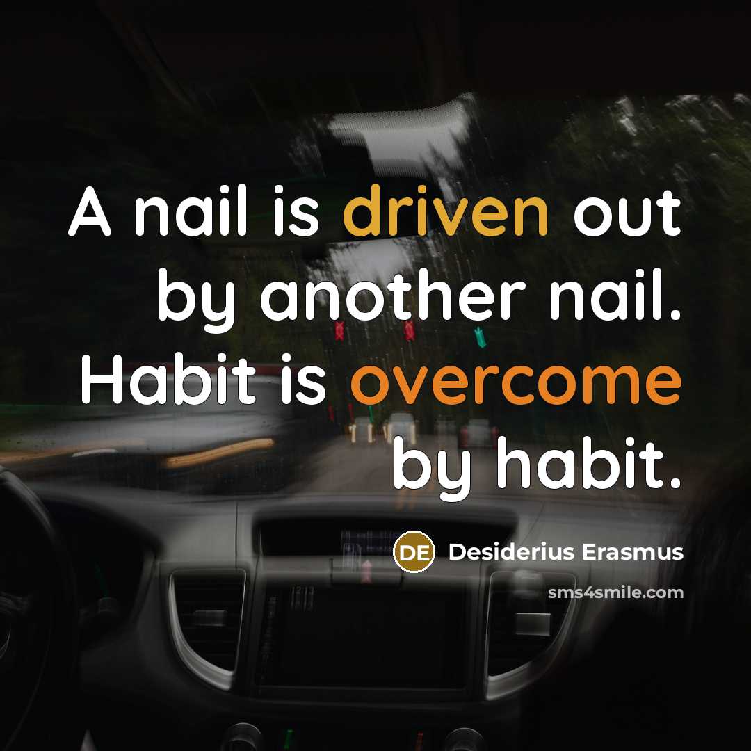“A nail is driven out by another nail. Habit is overcome by habit.” quote by Desiderius Erasmus