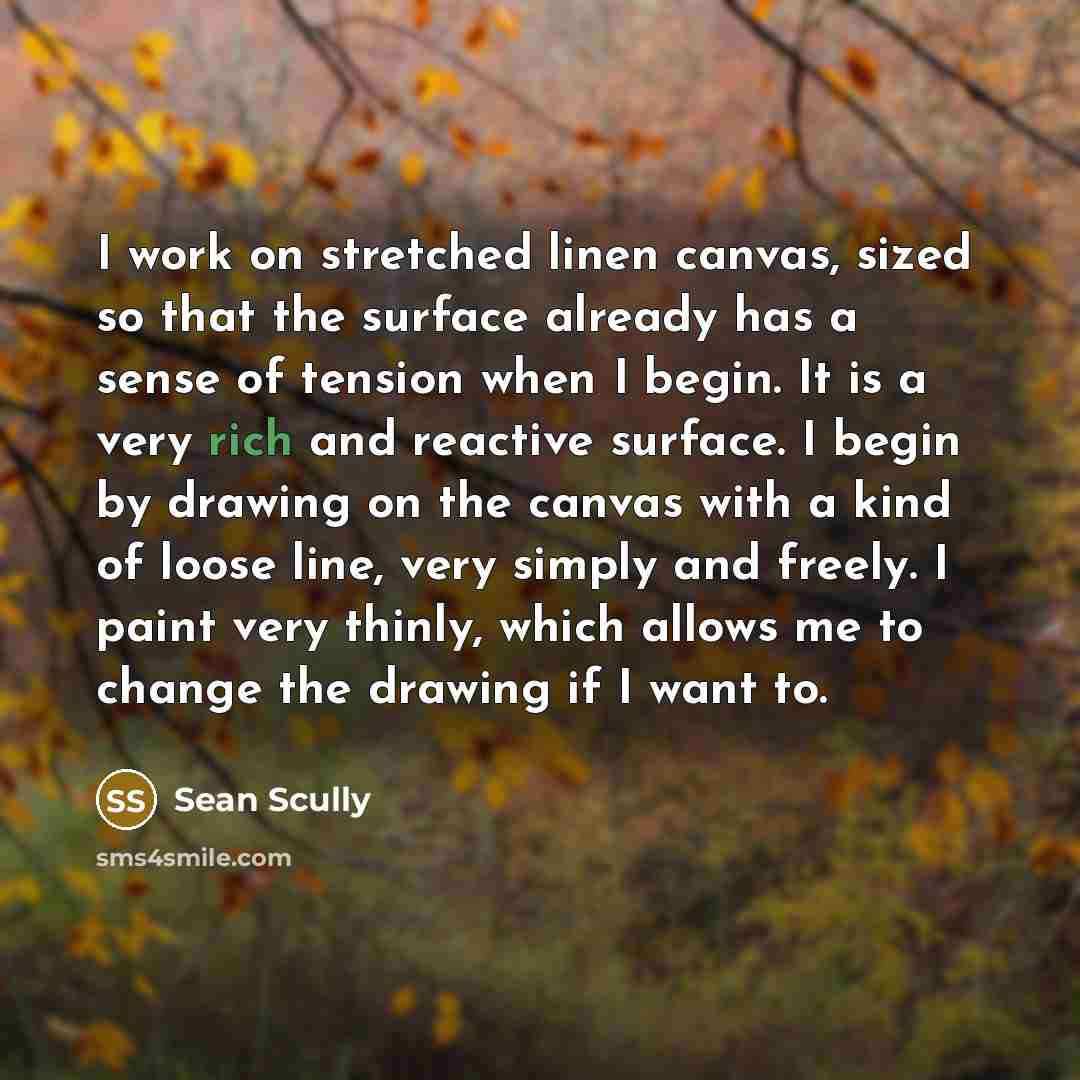 “I work on stretched linen canvas, sized so that the surface already has a sense of tension when I begin. It is a very rich and reactive surface. I begin by drawing on the canvas with a kind of loose line, very simply and freely. I paint very thinly, which allows me to change the drawing if I want…” quote by Sean Scully