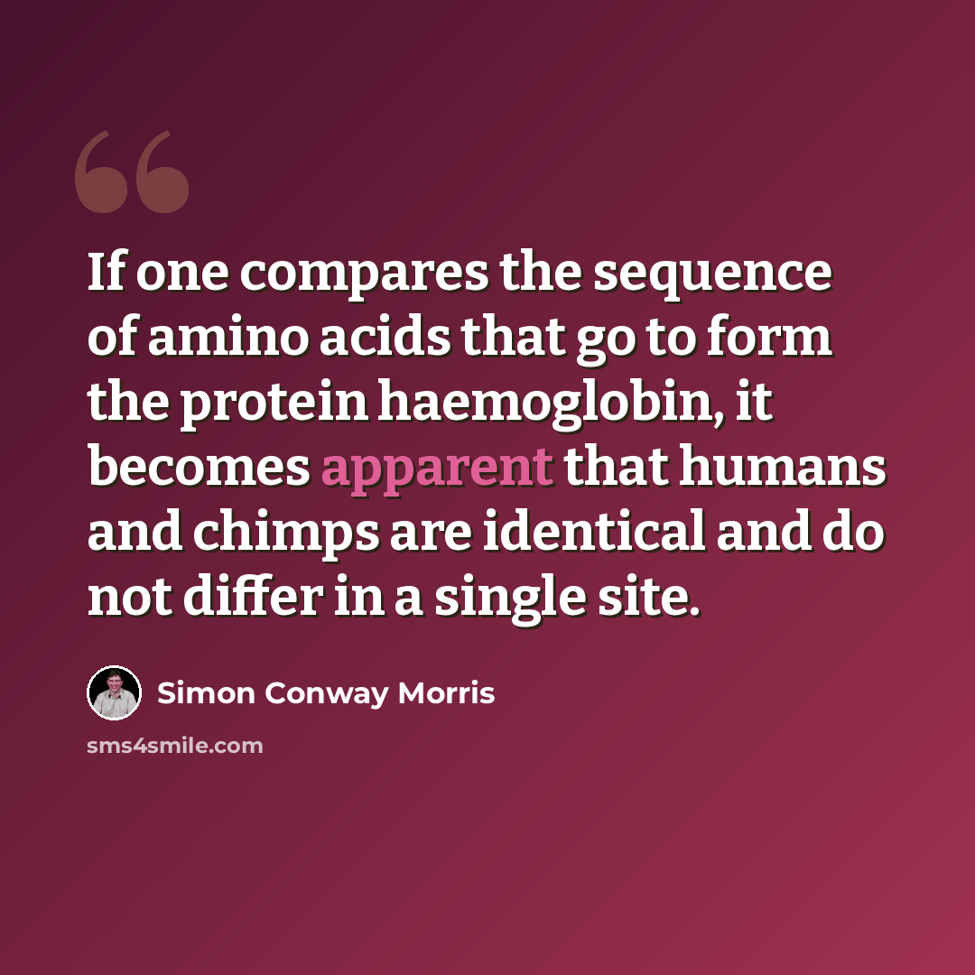 “If one compares the sequence of amino acids that go to form the protein haemoglobin, it becomes apparent that humans and chimps are identical and do not differ in a single site.” quote by Simon Conway Morris