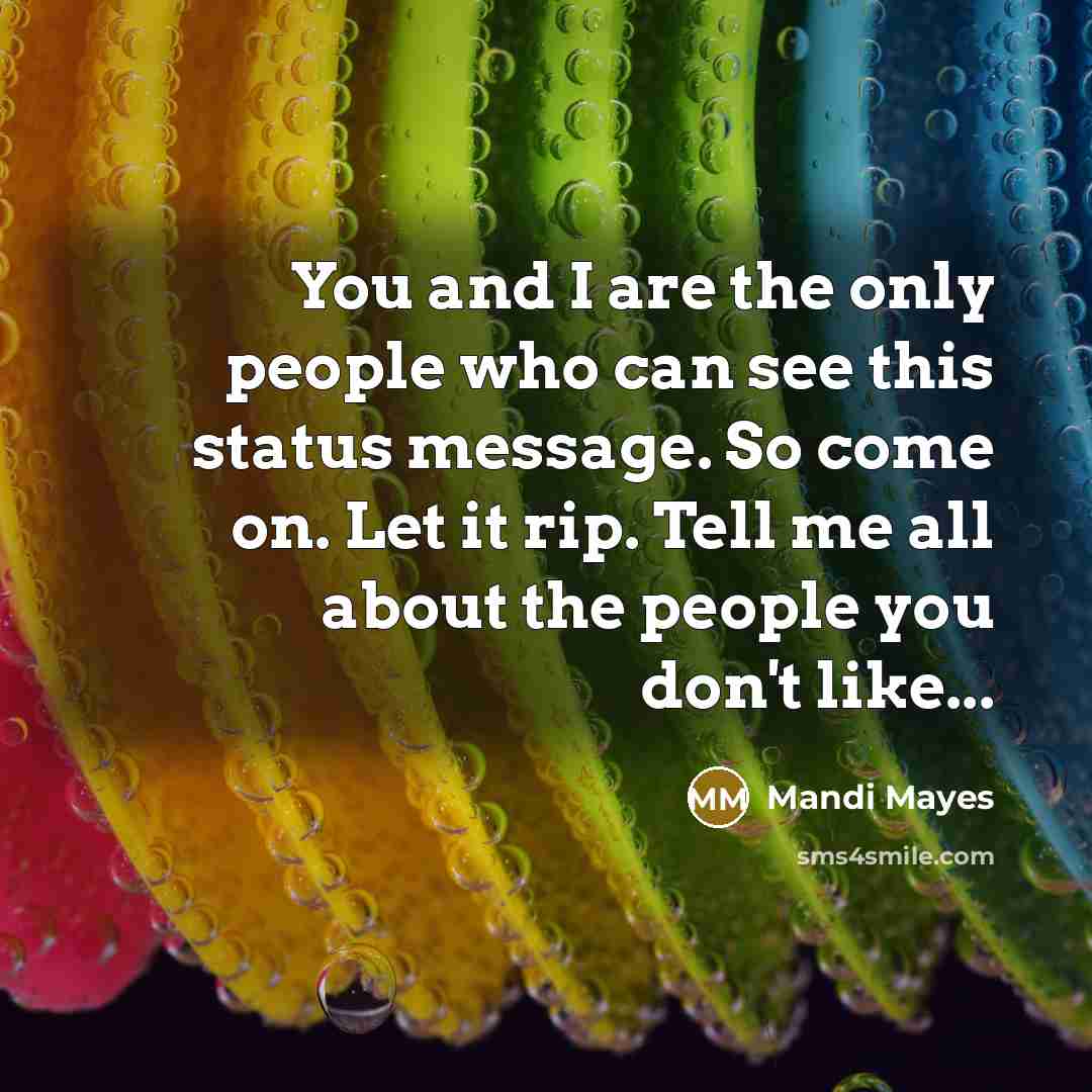 “You and I are the only people who can see this status message. So come on. Let it rip. Tell me all about the people you don't like...” quote by Mandi Mayes