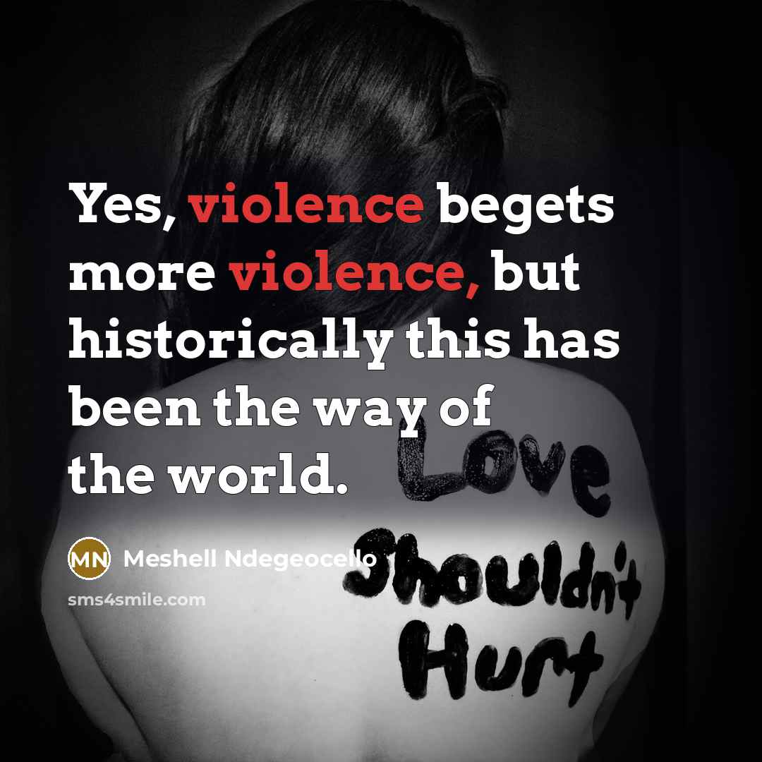 “Yes, violence begets more violence, but historically this has been the way of the world.” quote by Meshell Ndegeocello