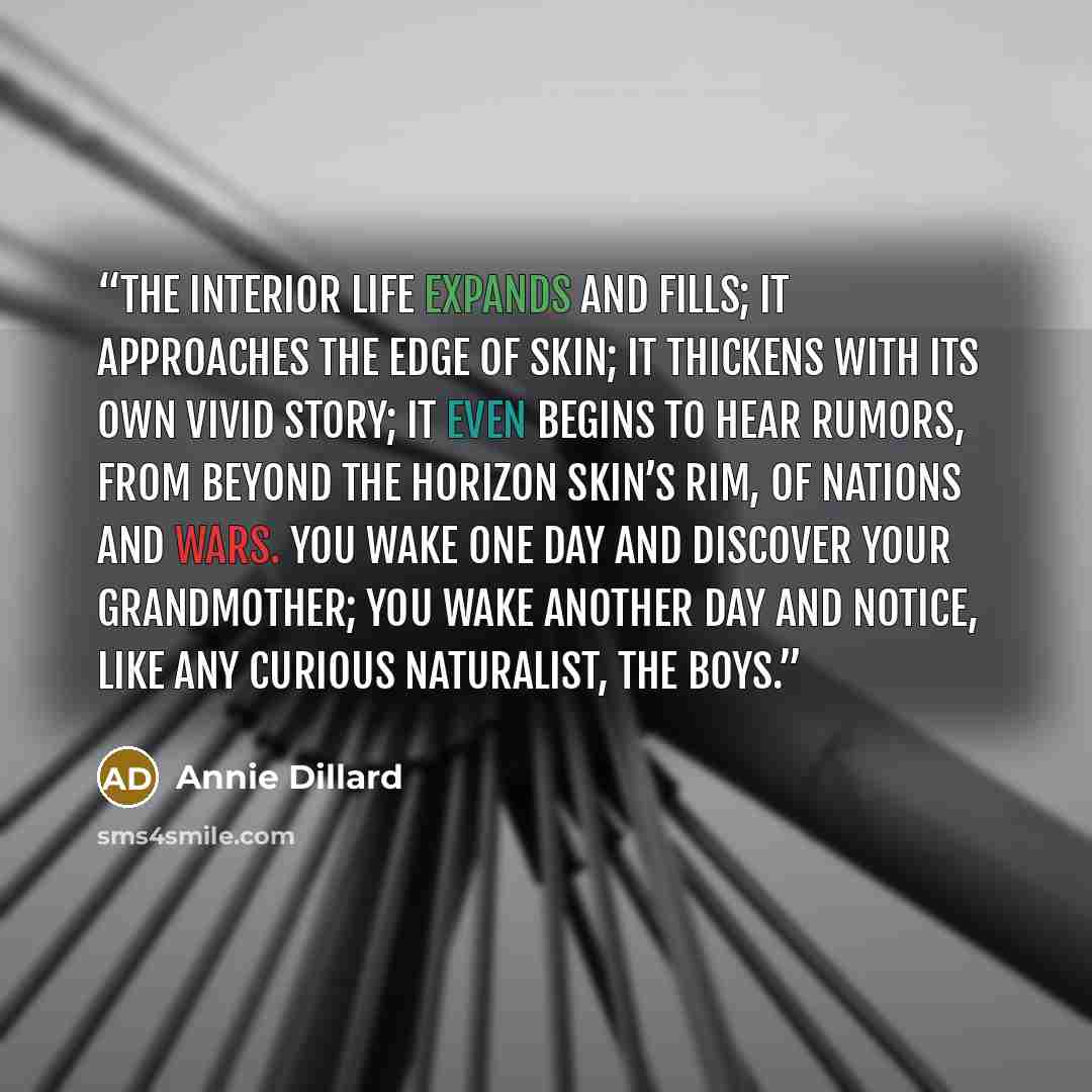 “The interior life expands and fills; it approaches the edge of skin; it thickens with its own vivid story; it even begins to hear rumors, from beyond the horizon skin’s rim, of nations and wars. You wake one day and discover your grandmother; you wake another day and notice, like any curious…” quote by Annie Dillard