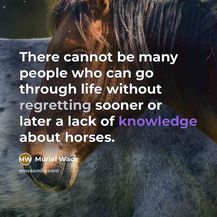 “There cannot be many people who can go through life without regretting sooner or later a lack of knowledge about horses.” quote by Muriel Wace