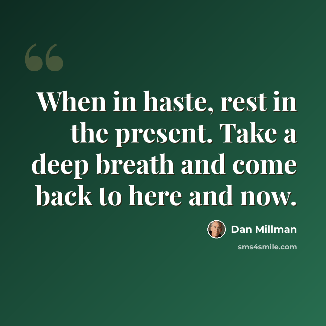 “When in haste, rest in the present. Take a deep breath and come back to here and now.” quote by Dan Millman