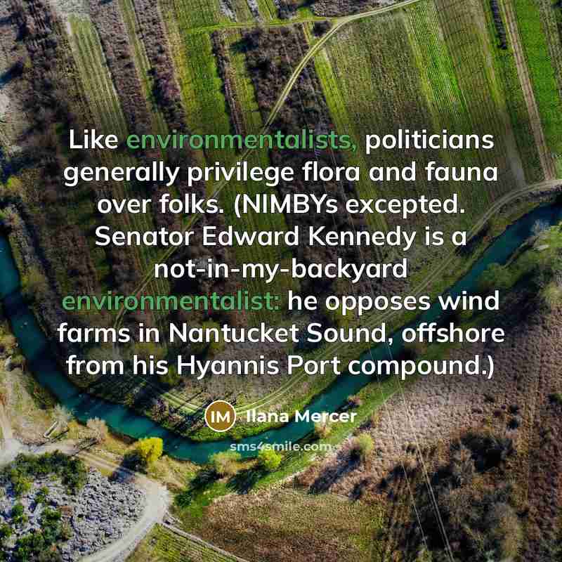 “Like environmentalists, politicians generally privilege flora and fauna over folks. (NIMBYs excepted. Senator Edward Kennedy is a not-in-my-backyard environmentalist: he opposes wind farms in Nantucket Sound, offshore from his Hyannis Port compound.)” quote by Ilana Mercer