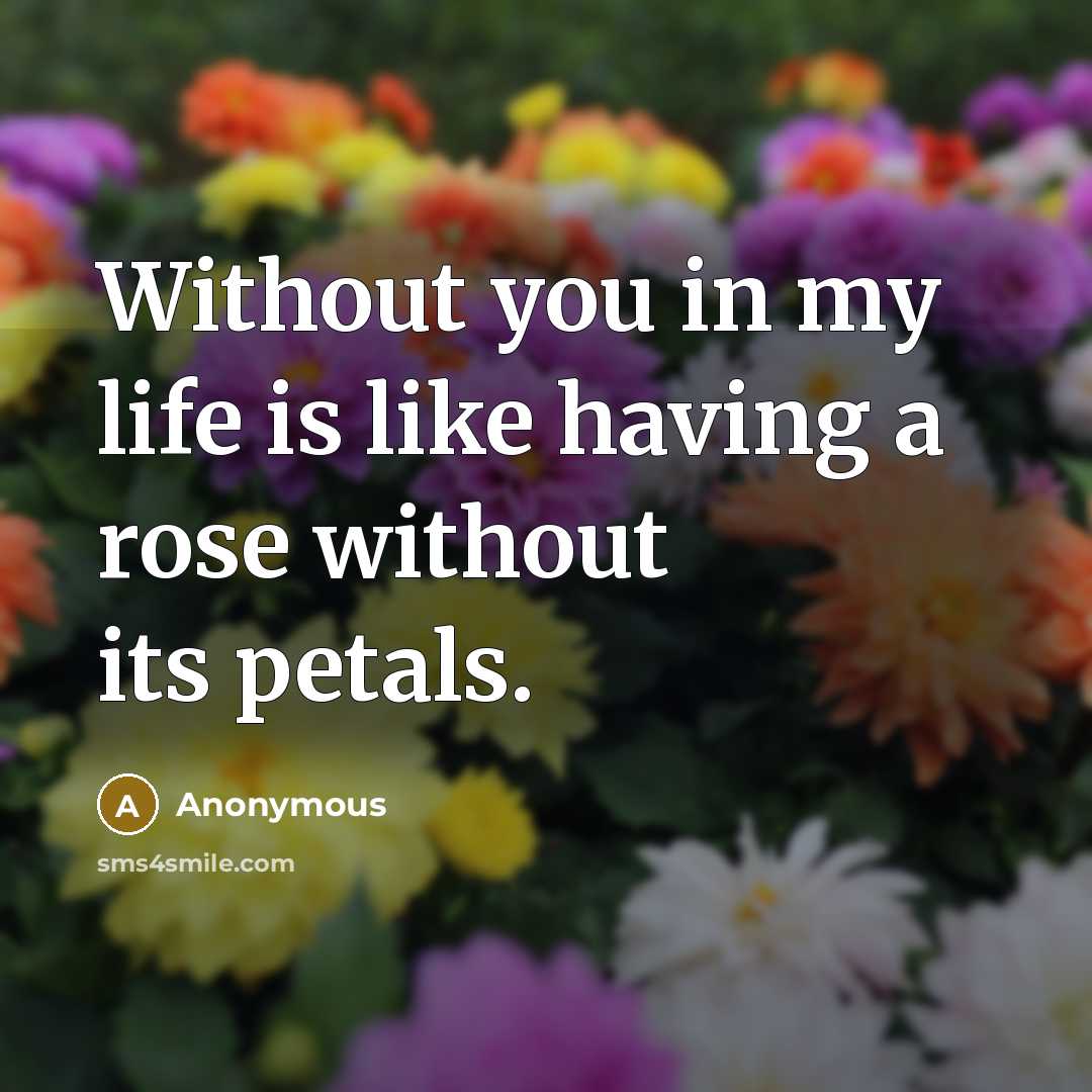 “Without you in my life is like having a rose without its petals.” quote by Anonymous