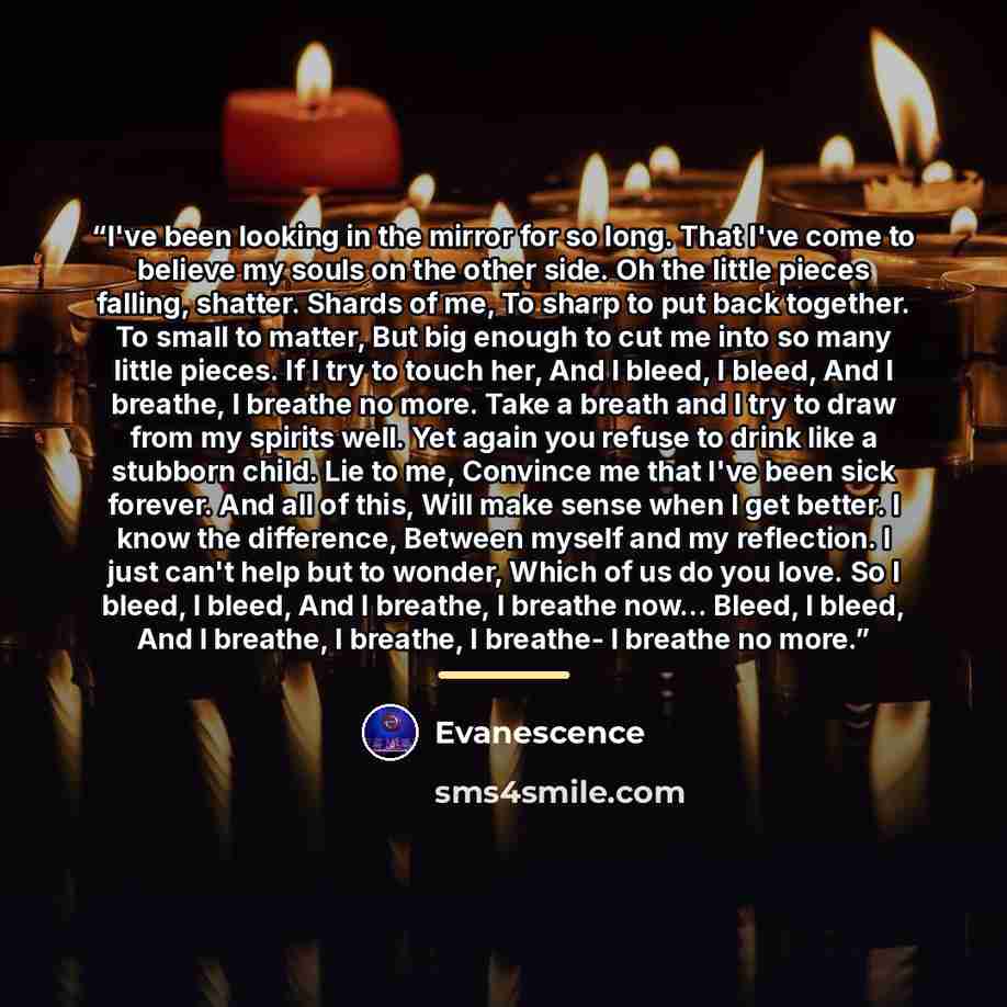 “I've been looking in the mirror for so long. That I've come to believe my souls on the other side. Oh the little pieces falling, shatter. Shards of me, To sharp to put back together. To small to matter, But big enough to cut me into so many little pieces. If I try to touch her, And I bleed, I…” quote by Evanescence