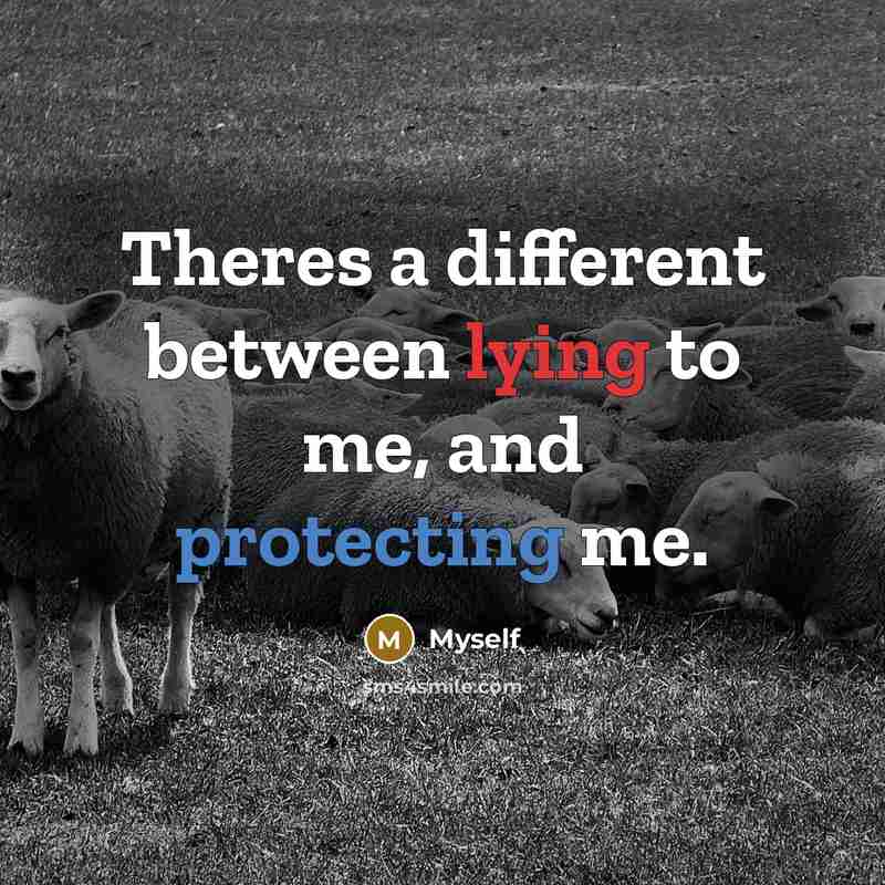 “Theres a different between lying to me, and protecting me.” quote by Myself