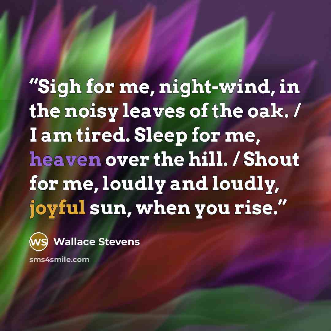 “Sigh for me, night-wind, in the noisy leaves of the oak. / I am tired. Sleep for me, heaven over the hill. / Shout for me, loudly and loudly, joyful sun, when you rise.” quote by Wallace Stevens