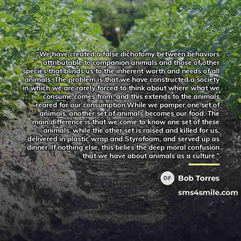 “We have created a false dichotomy between behaviors attributable to companion animals and those of other species that blinds us to the inherent worth and needs of all animals. The problem is that we have constructed a society in which we are rarely forced to think about where what we consume comes…” quote by Bob Torres