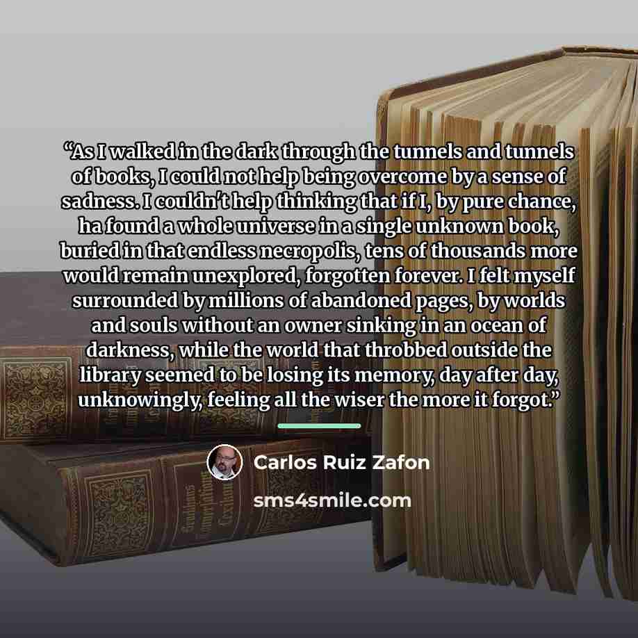 “As I walked in the dark through the tunnels and tunnels of books, I could not help being overcome by a sense of sadness. I couldn't help thinking that if I, by pure chance, ha found a whole universe in a single unknown book, buried in that endless necropolis, tens of thousands more would remain…” quote by Carlos Ruiz Zafón
