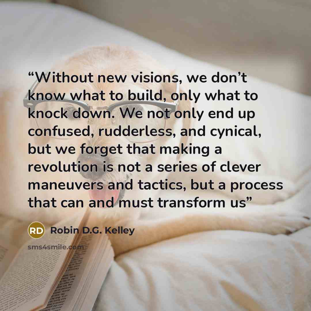 “Without new visions, we don’t know what to build, only what to knock down. We not only end up confused, rudderless, and cynical, but we forget that making a revolution is not a series of clever maneuvers and tactics, but a process that can and must transform us” quote by Robin D.G. Kelley
