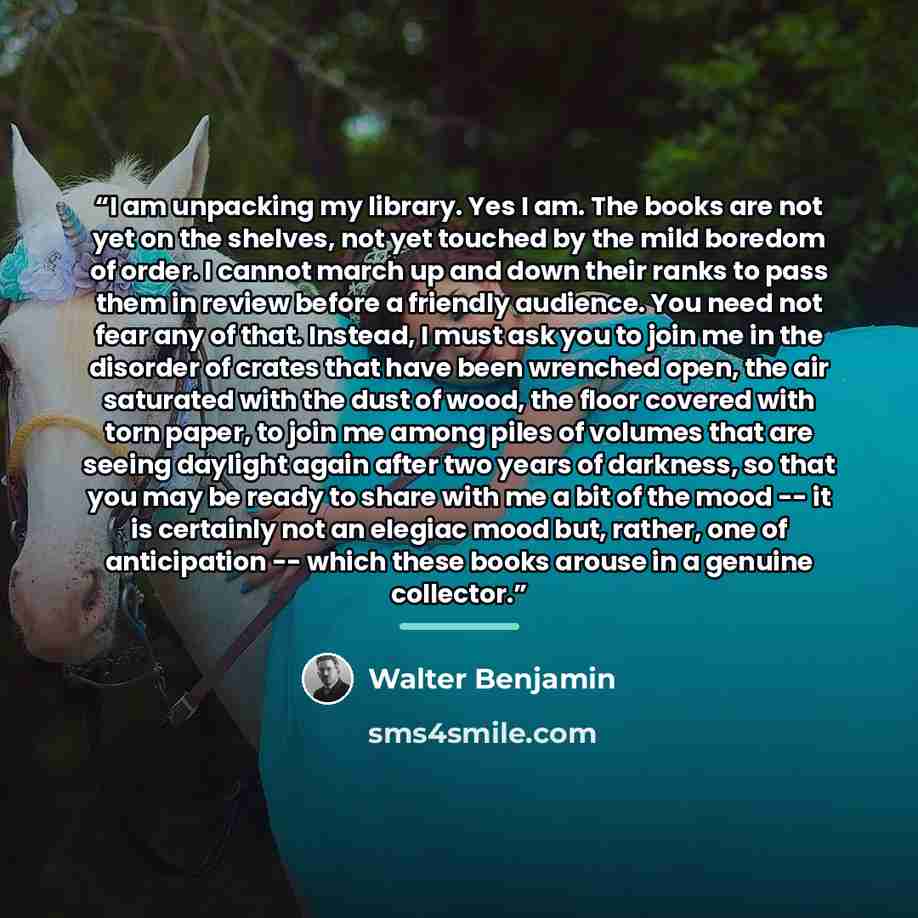 “I am unpacking my library. Yes I am. The books are not yet on the shelves, not yet touched by the mild boredom of order. I cannot march up and down their ranks to pass them in review before a friendly audience. You need not fear any of that. Instead, I must ask you to join me in the disorder of…” quote by Walter Benjamin