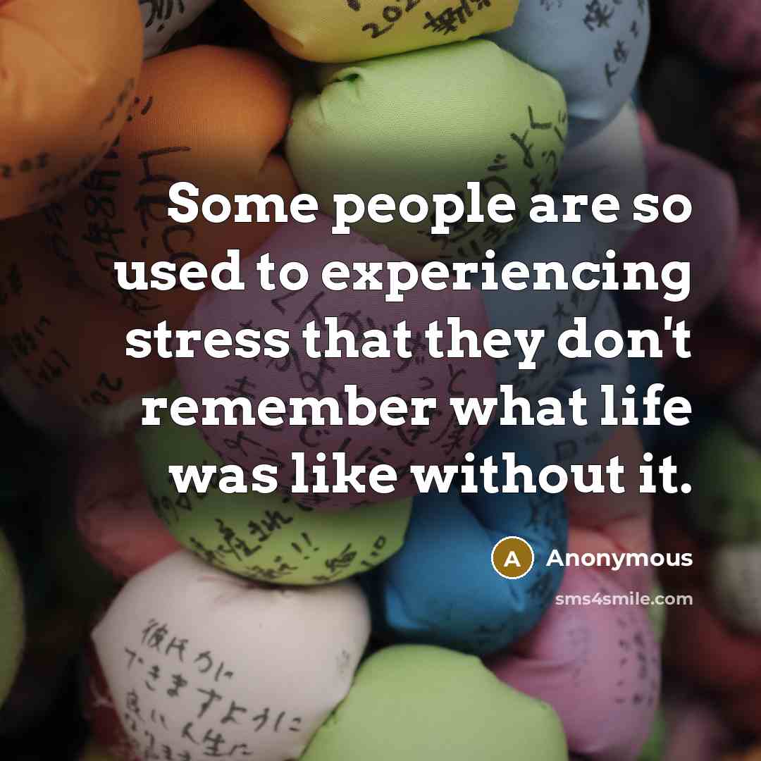 “Some people are so used to experiencing stress that they don't remember what life was like without it.” quote by Anonymous
