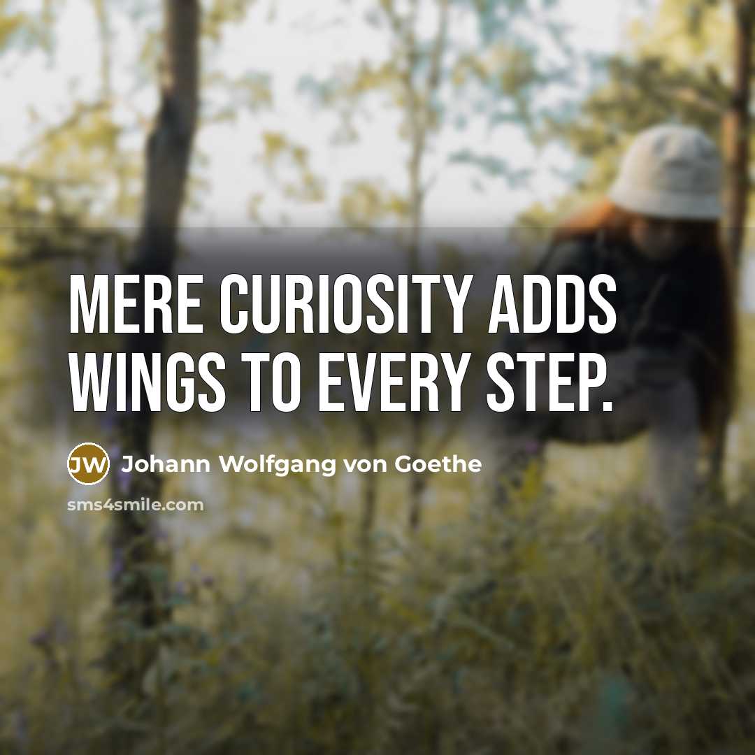 “Mere curiosity adds wings to every step.” quote by Johann Wolfgang von Goethe