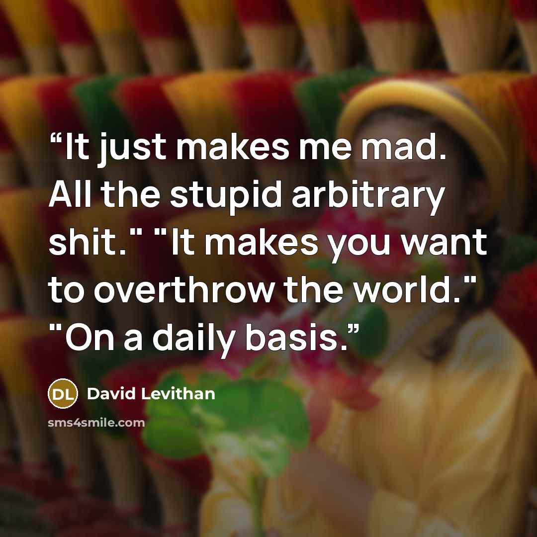 “It just makes me mad. All the stupid arbitrary shit." "It makes you want to overthrow the world." "On a daily basis.” quote by David Levithan