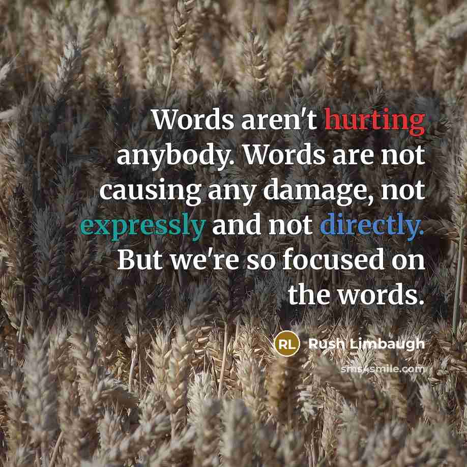 “Words aren't hurting anybody. Words are not causing any damage, not expressly and not directly. But we're so focused on the words.” quote by Rush Limbaugh