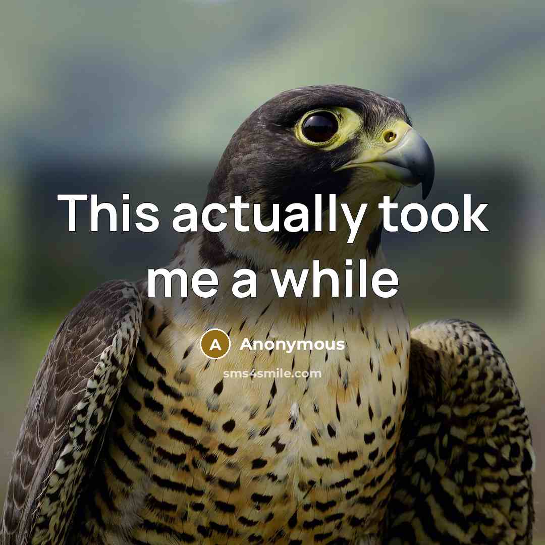“This actually took me a while” quote by Anonymous
