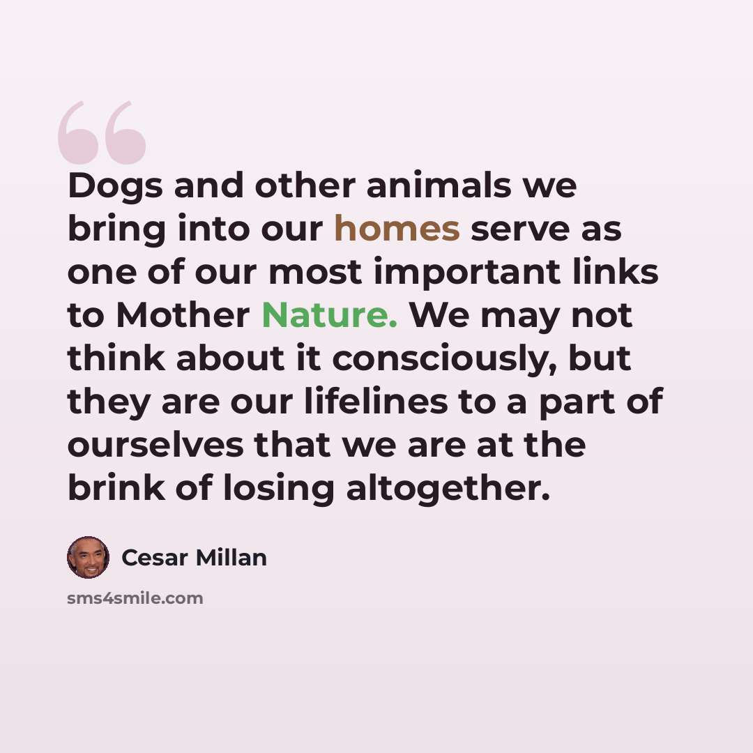 “Dogs and other animals we bring into our homes serve as one of our most important links to Mother Nature. We may not think about it consciously, but they are our lifelines to a part of ourselves that we are at the brink of losing altogether.” quote by Cesar Millan