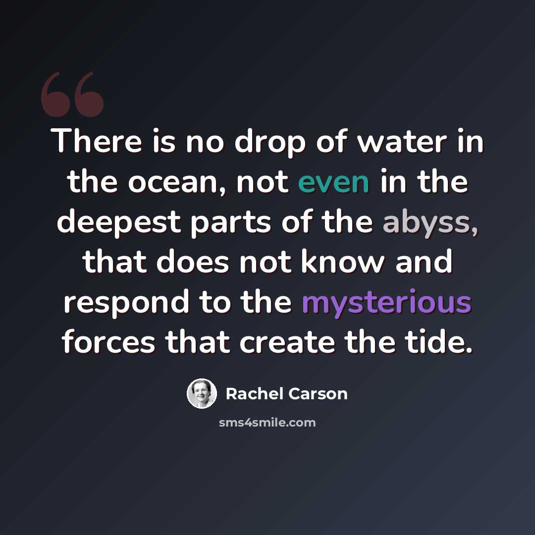 “There is no drop of water in the ocean, not even in the deepest parts of the abyss, that does not know and respond to the mysterious forces that create the tide.” quote by Rachel Carson