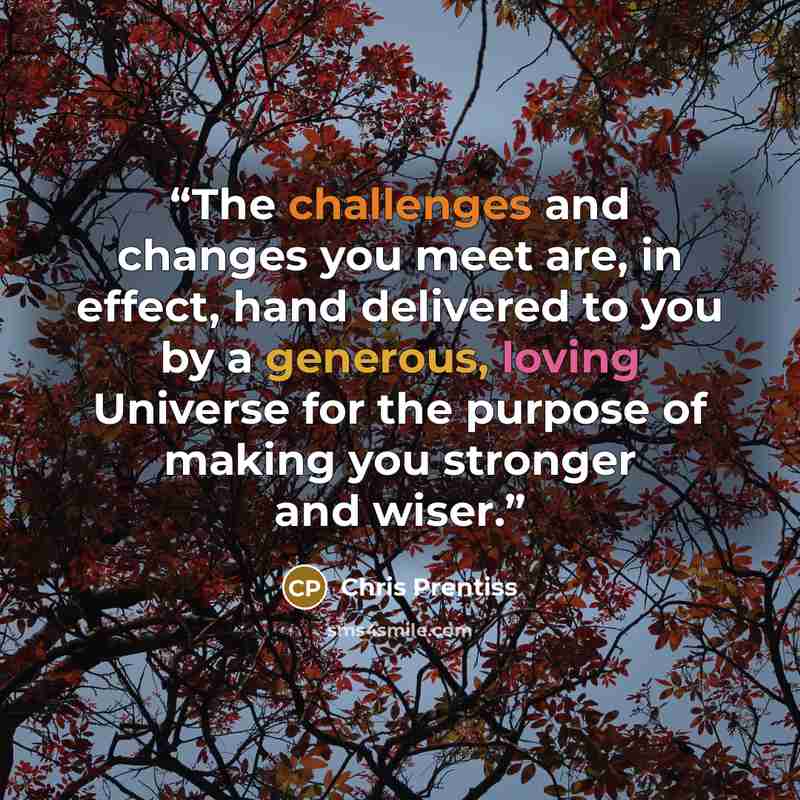“The challenges and changes you meet are, in effect, hand delivered to you by a generous, loving Universe for the purpose of making you stronger and wiser.” quote by Chris Prentiss