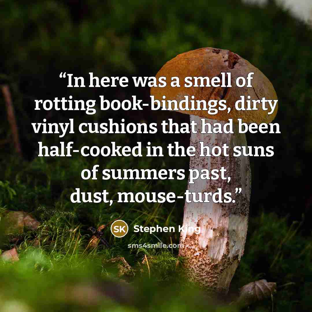 “In here was a smell of rotting book-bindings, dirty vinyl cushions that had been half-cooked in the hot suns of summers past, dust, mouse-turds.” quote by Stephen King