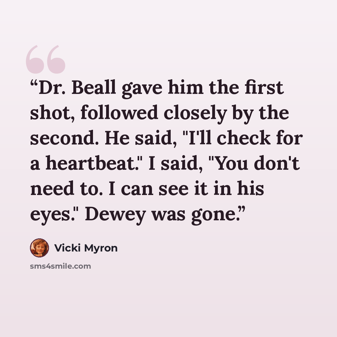 “Dr. Beall gave him the first shot, followed closely by the second. He said, "I'll check for a heartbeat." I said, "You don't need to. I can see it in his eyes." Dewey was gone.” quote by Vicki Myron