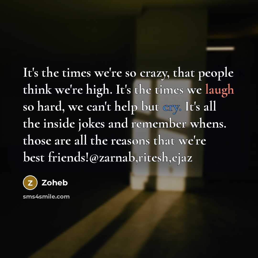 “It's the times we're so crazy, that people think we're high. It's the times we laugh so hard, we can't help but cry. It's all the inside jokes and remember whens. those are all the reasons that we're best friends!@zarnab,ritesh,ejaz” quote by Zoheb