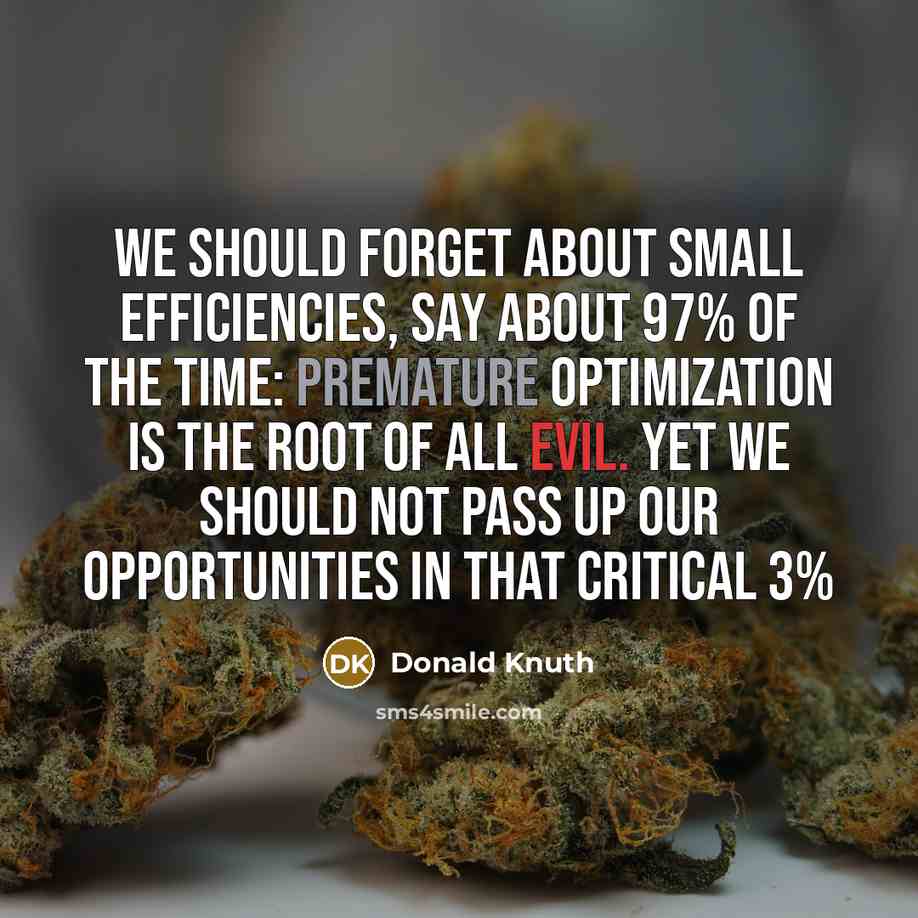 “We should forget about small efficiencies, say about 97% of the time: premature optimization is the root of all evil. Yet we should not pass up our opportunities in that critical 3%” quote by Donald Knuth
