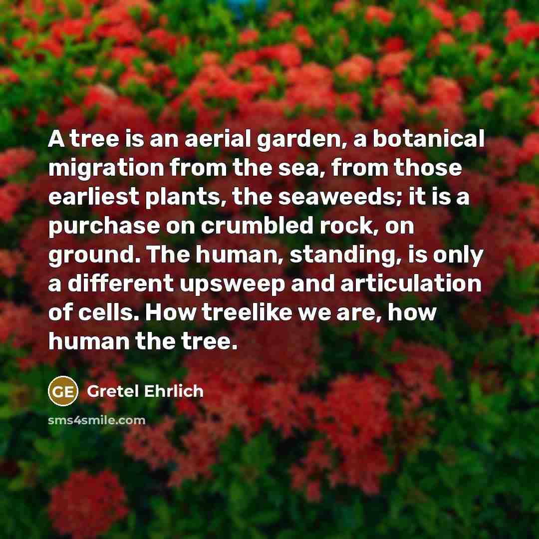 “A tree is an aerial garden, a botanical migration from the sea, from those earliest plants, the seaweeds; it is a purchase on crumbled rock, on ground. The human, standing, is only a different upsweep and articulation of cells. How treelike we are, how human the tree.” quote by Gretel Ehrlich