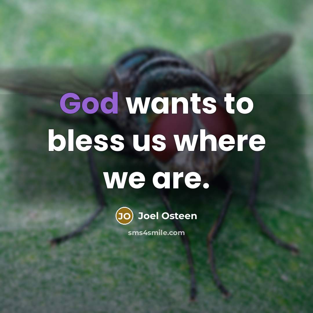 “God wants to bless us where we are.” quote by Joel Osteen