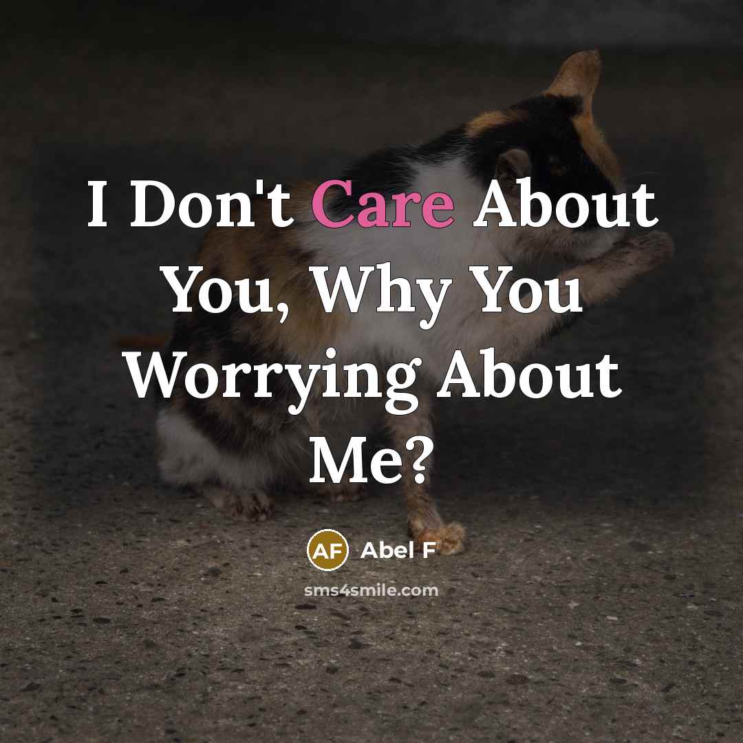 “I Don't Care About You, Why You Worrying About Me?” quote by Abel F