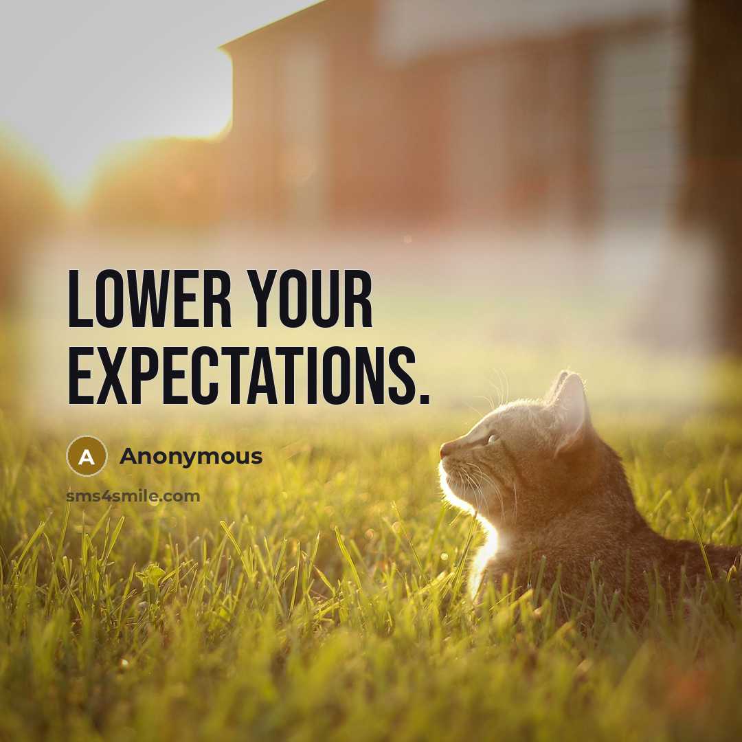 “Lower your expectations.” quote by Anonymous