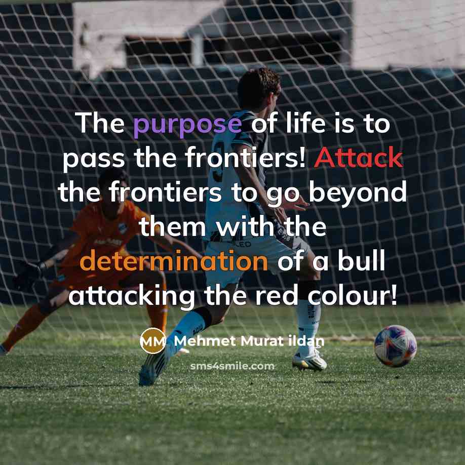“The purpose of life is to pass the frontiers! Attack the frontiers to go beyond them with the determination of a bull attacking the red colour!” quote by Mehmet Murat Ildan
