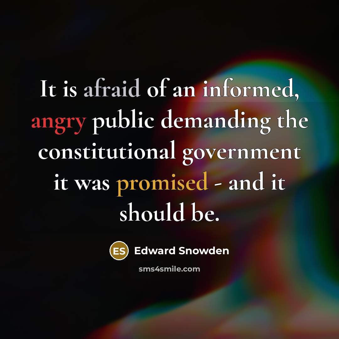 “It is afraid of an informed, angry public demanding the constitutional government it was promised - and it should be.” quote by Edward Snowden