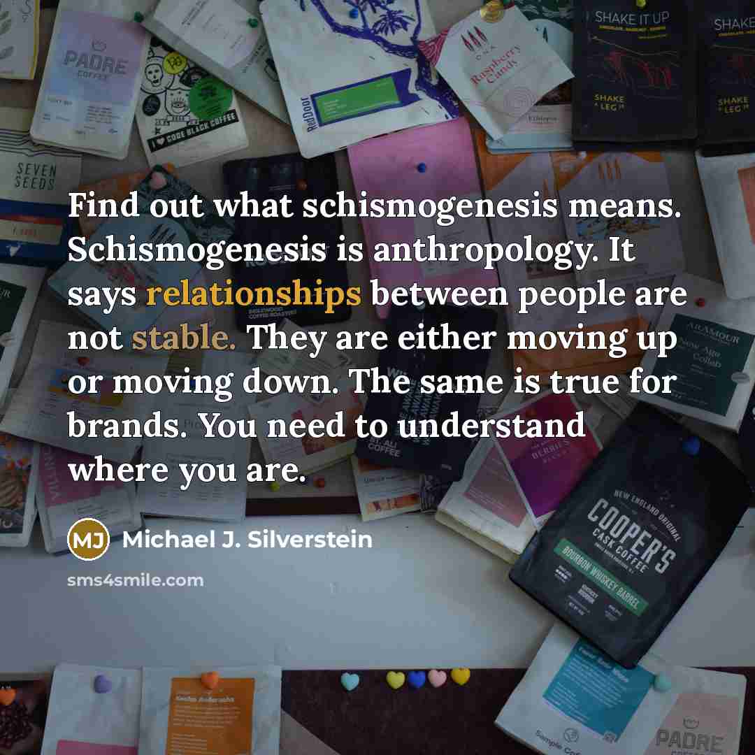 “Find out what schismogenesis means. Schismogenesis is anthropology. It says relationships between people are not stable. They are either moving up or moving down. The same is true for brands. You need to understand where you are.” quote by Michael J. Silverstein