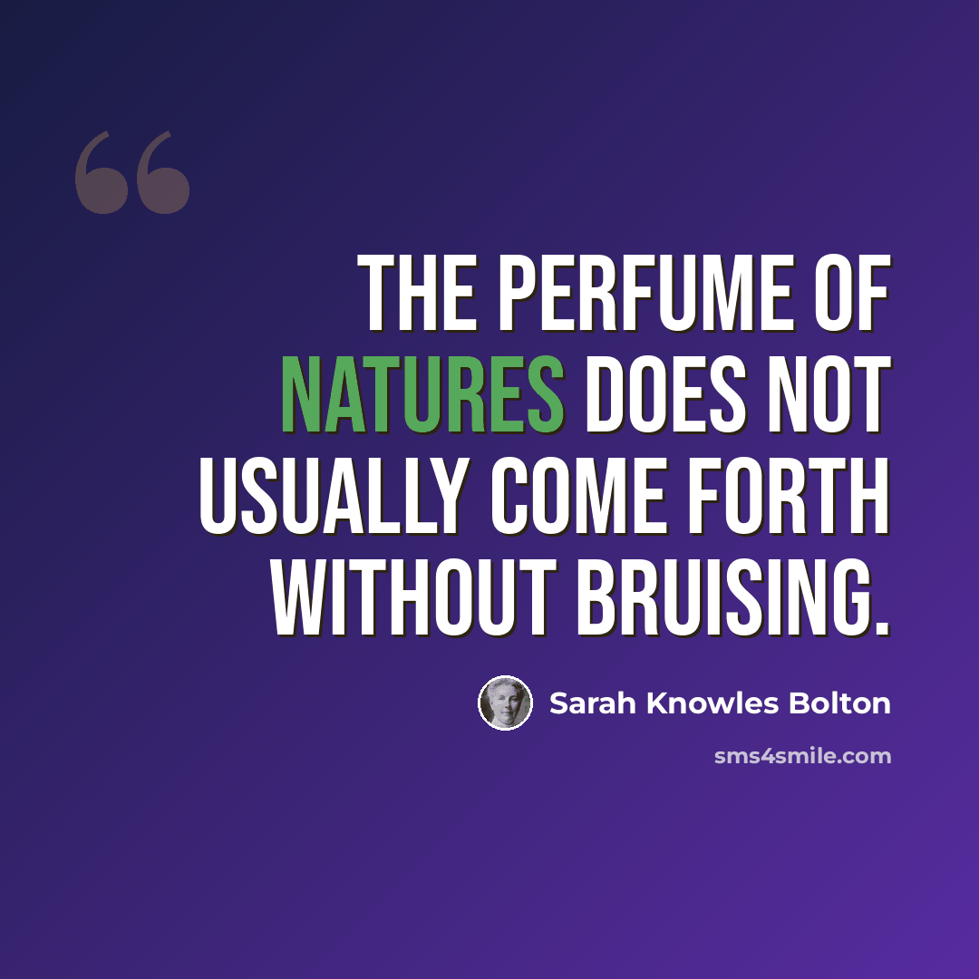 “The perfume of natures does not usually come forth without bruising.” quote by Sarah Knowles Bolton