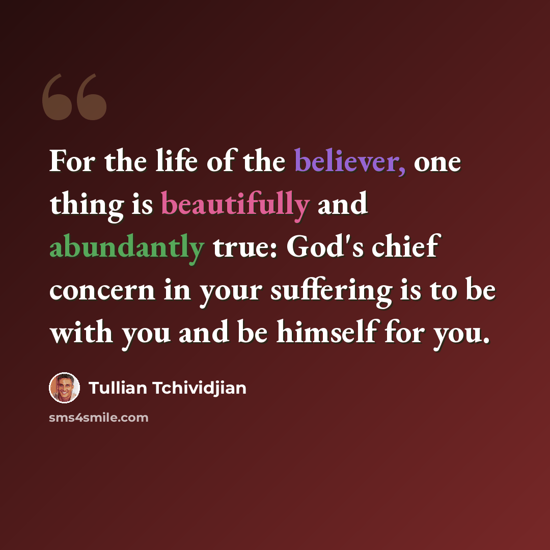 “For the life of the believer, one thing is beautifully and abundantly true: God's chief concern in your suffering is to be with you and be himself for you.” quote by Tullian Tchividjian