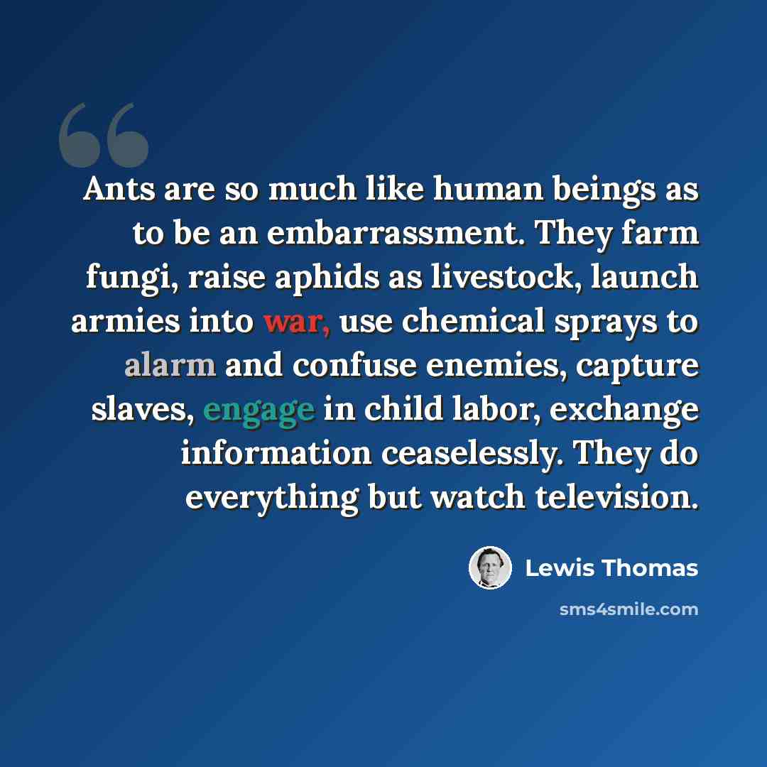 “Ants are so much like human beings as to be an embarrassment. They farm fungi, raise aphids as livestock, launch armies into war, use chemical sprays to alarm and confuse enemies, capture slaves, engage in child labor, exchange information ceaselessly. They do everything but watch television.” quote by Lewis Thomas